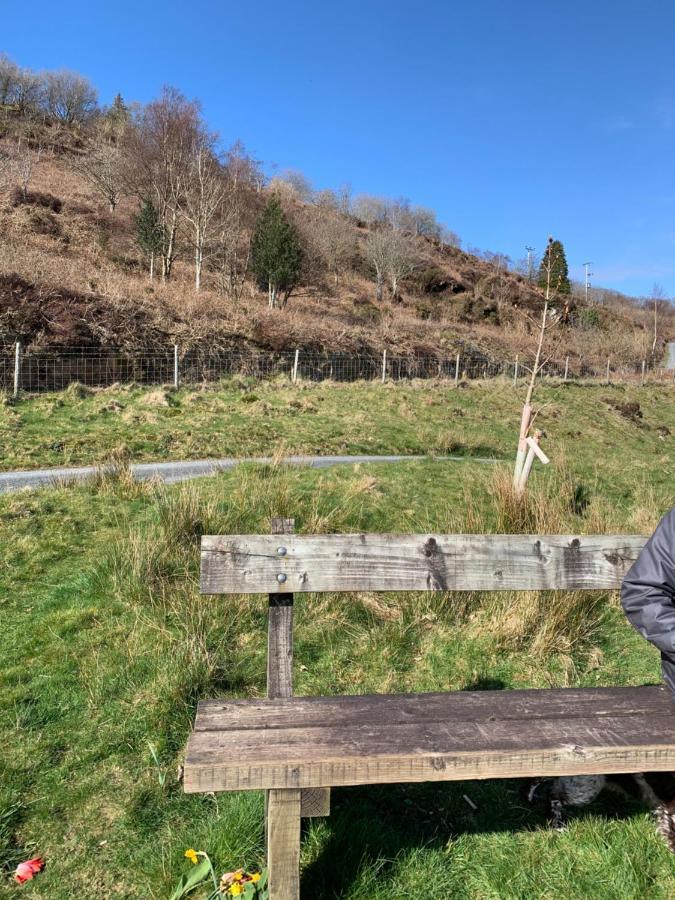 Snowdonia Rock Cottage - Cosy And Pet Friendly Penrhyndeudreath Eksteriør bilde