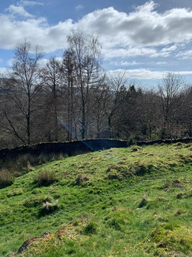 Snowdonia Rock Cottage - Cosy And Pet Friendly Penrhyndeudreath Eksteriør bilde